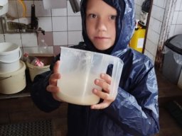 vojslavice 4